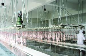 流水線廠家 流水線廠家