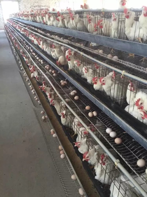 伟德注册注 伟德注册注